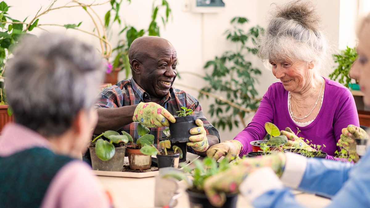Memory Care Placement